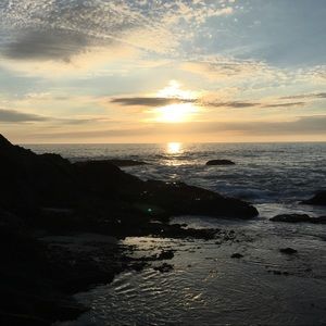 Meet your Posher, Samuel